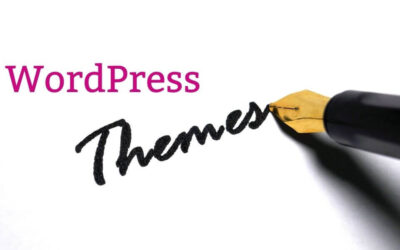 What is a WordPress Theme?