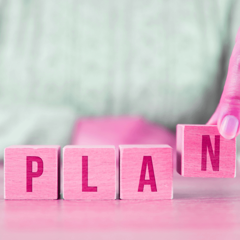 How I Stay on Track Pink Plan Blocks